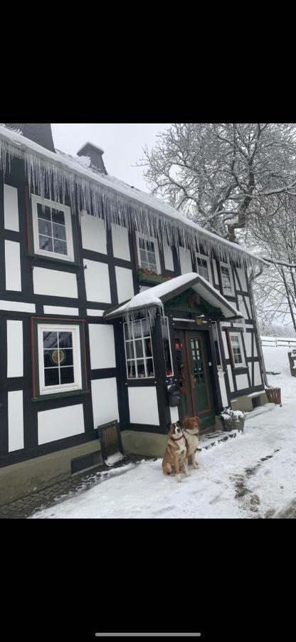 빈터베르크 Berghof Schmitte 게스트하우스 외부 사진